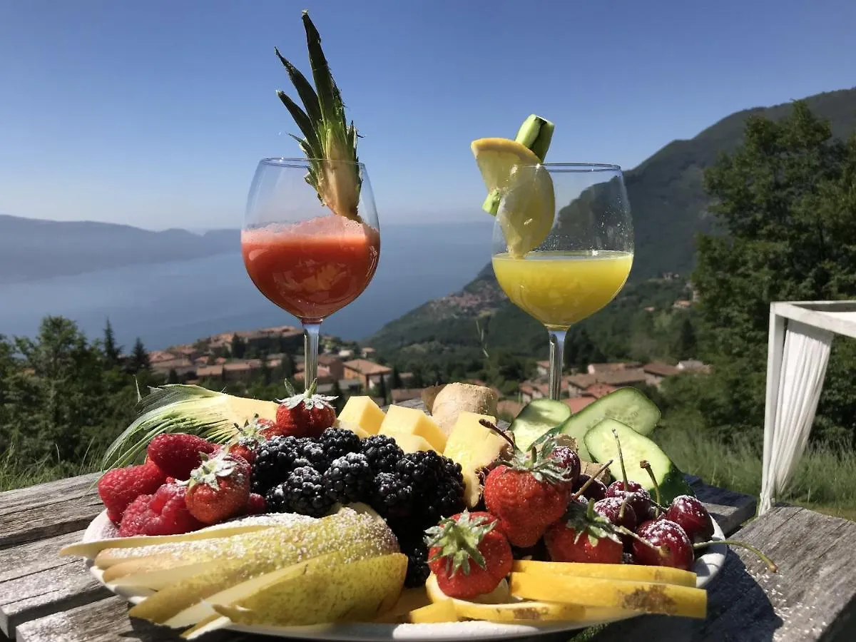Bnb Borgo Le Vigne - La Vendemmia Only Adults Tignale Apartment