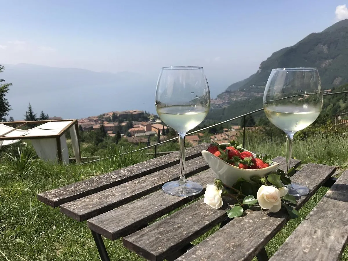 Bnb Borgo Le Vigne - La Vendemmia Only Adults Tignale