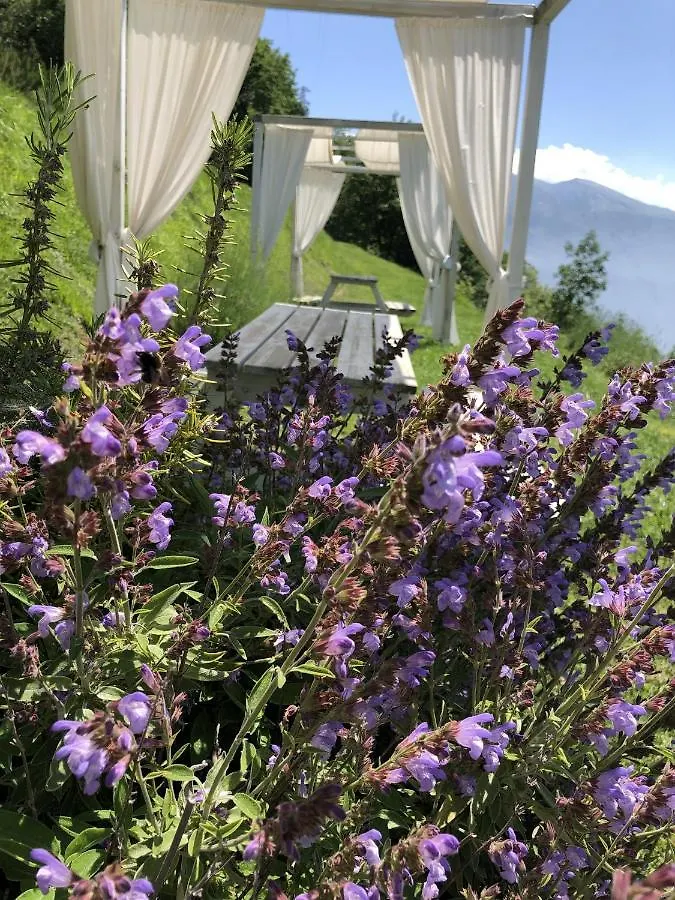 Apartment Bnb Borgo Le Vigne - La Vendemmia Only Adults Tignale Italy